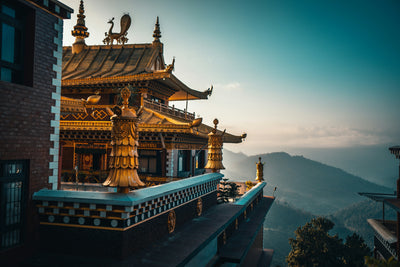 Out of Focus | part 1 | Mountain Momos: A Hidden Himalayan Trek